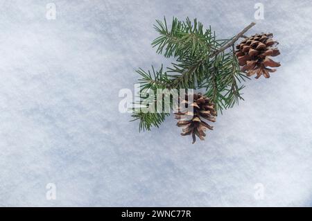 Natura morta natalizia con coni di pino innevati e rami di abete sullo sfondo innevato. Concetto di festa invernale o natalizia. Giorno d'inverno. Vista dall'alto, disposizione piatta, Foto Stock