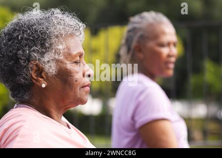 Donna afroamericana anziana e donna birazziale anziana in piedi all'aperto, entrambi con capelli grigi Foto Stock