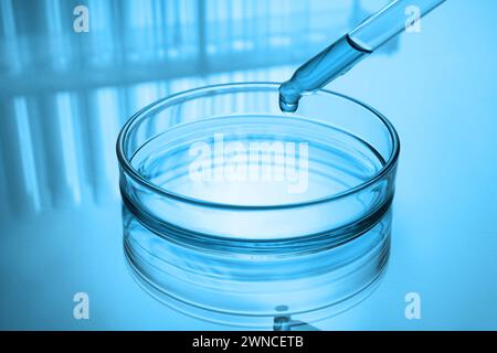 Immergere il reagente in una capsula di Petri con il liquido sul tavolo, tonico in blu. Vetreria da laboratorio Foto Stock