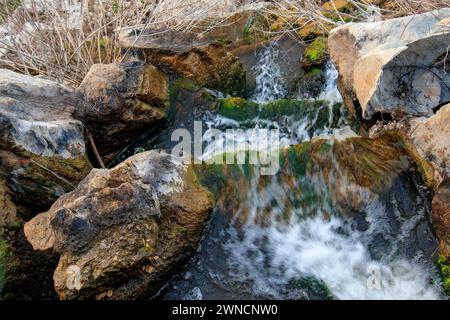Vista ravvicinata di una piccola cascata che cade su rocce coperte di muschio, che mostra la serena bellezza della natura con vegetazione lussureggiante e tessuti intricati Foto Stock