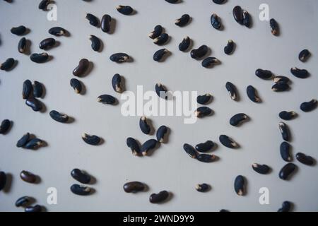 Semi di fagioli neri su sfondo bianco. Foto Stock