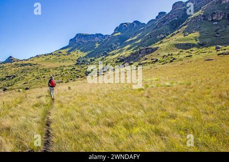 Un escursionista solitario con uno zaino rosso che cammina su un sentiero nelle remote montagne di Drakensberg Foto Stock