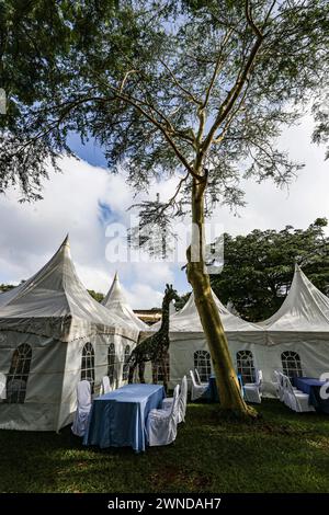 Nairobi, Nairobi, Kenya. 1 marzo 2024. Tende per l'evento UNEA-6 e un topiario di giraffa sulla base della stazione delle Nazioni Unite di Nairobi. (Credit Image: © Bianca Otero/ZUMA Press Wire) SOLO PER USO EDITORIALE! Non per USO commerciale! Foto Stock