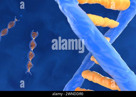 Molecola di DNA con spirale a doppio polinucleotide - Vista ravvicinata illustrazione 3d. Foto Stock