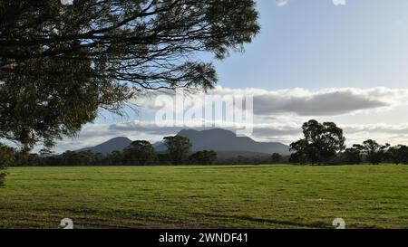 Vista distante delle montagne della catena Stirling Foto Stock