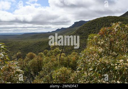 Vista delle Stirling Range Mountains all'inizio del sentiero escursionistico Bluff Knoll Foto Stock