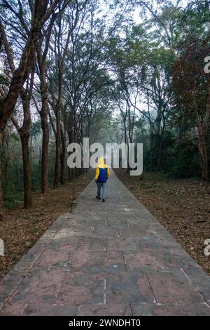 11 gennaio 2024, Uttarakhand India. Passeggiata mattutina d'inverno: Da solo, uomo che indossa una giacca esterna, godersi il giardino naturale nella città di Dehradun, Uttarakhand, Indi Foto Stock