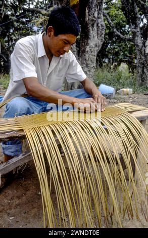 Uomo che lavora, San Francisco de Yuruani. Gran Sabana. Stato di Bolivar. Venezuela. Foto Stock