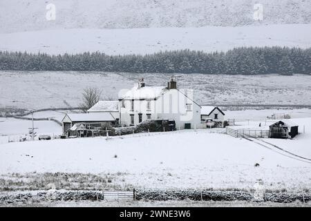 Teesdale, Contea di Durham, Regno Unito. 2 marzo 2024. Meteo nel Regno Unito. La neve sta colpendo parti della contea di Durham questa mattina, specialmente su un terreno più alto. La previsione è per più neve che può essere localmente pesante, soprattutto sulle colline. Crediti: David Forster/Alamy Live News Foto Stock