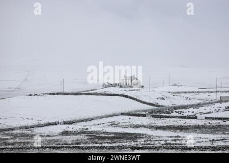 Teesdale, Contea di Durham, Regno Unito. 2 marzo 2024. Meteo nel Regno Unito. La neve sta colpendo parti della contea di Durham questa mattina, specialmente su un terreno più alto. La previsione è per più neve che può essere localmente pesante, soprattutto sulle colline. Crediti: David Forster/Alamy Live News Foto Stock