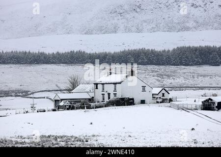 Teesdale, Contea di Durham, Regno Unito. 2 marzo 2024. Meteo nel Regno Unito. La neve sta colpendo parti della contea di Durham questa mattina, specialmente su un terreno più alto. La previsione è per più neve che può essere localmente pesante, soprattutto sulle colline. Crediti: David Forster/Alamy Live News Foto Stock