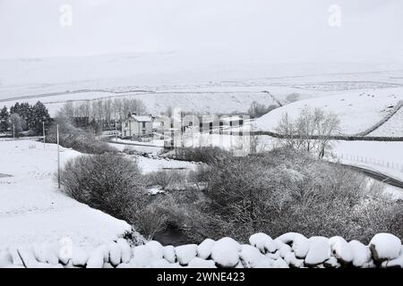 Teesdale, Contea di Durham, Regno Unito. 2 marzo 2024. Meteo nel Regno Unito. La neve sta colpendo parti della contea di Durham questa mattina, specialmente su un terreno più alto. La previsione è per più neve che può essere localmente pesante, soprattutto sulle colline. Crediti: David Forster/Alamy Live News Foto Stock