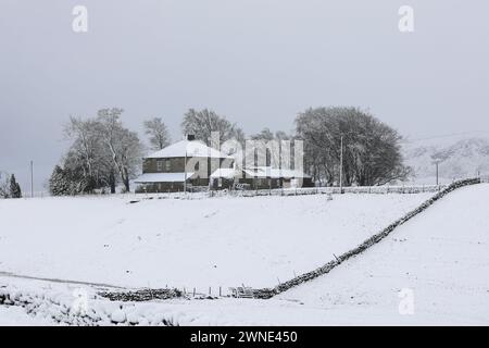 Teesdale, Contea di Durham, Regno Unito. 2 marzo 2024. Meteo nel Regno Unito. La neve sta colpendo parti della contea di Durham questa mattina, specialmente su un terreno più alto. La previsione è per più neve che può essere localmente pesante, soprattutto sulle colline. Crediti: David Forster/Alamy Live News Foto Stock