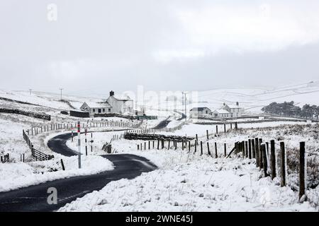 Teesdale, Contea di Durham, Regno Unito. 2 marzo 2024. Meteo nel Regno Unito. La neve sta colpendo parti della contea di Durham questa mattina, specialmente su un terreno più alto. La previsione è per più neve che può essere localmente pesante, soprattutto sulle colline. Crediti: David Forster/Alamy Live News Foto Stock