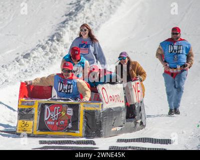 I partecipanti reagiscono dopo aver fatto slittino giù per la montagna e schiantato la loro slitta a tema Duff Brothers durante il Preston and Steve Cardboard Classic 2024 venerdì 1 marzo 2024 a Montage Mountain a Scranton, Pennsylvania. L'evento è sponsorizzato dalla stazione radio locale WMMR e le slitte in competizione devono essere fatte di cartone e nastro. (Foto di Tina Sottolano Cain/CAIN IMAGES) crediti: Tina Sottolano Cain/Alamy Live News Foto Stock