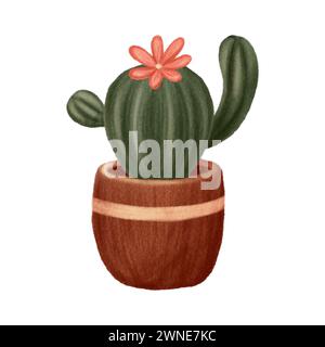 Un bellissimo cactus verde con un fiore rosso, una pianta della casa con un vaso marrone. Illustrazione isolata. Pastello alla cipolla Foto Stock