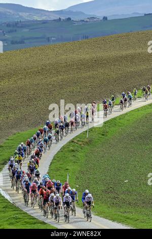 Siena, Italia. 2 marzo 2024. L'immagine mostra il peloton durante la gara d'élite maschile delle "strade bianche", gara ciclistica di un giorno (215km) da e per Siena, Italia, sabato 02 marzo 2024. BELGA FOTO DIRK WAEM credito: Belga News Agency/Alamy Live News Foto Stock