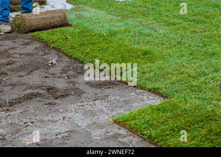 Rotoli di erba naturale erbosa sono posati a terra per scopi paesaggistici dall'uomo Foto Stock