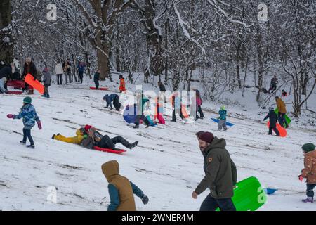 I bambini e le famiglie amano fare slittino nel Prospect Park dopo la prima vera caduta di neve in circa due anni nel febbraio 2024. Brooklyn, New York. Foto Stock