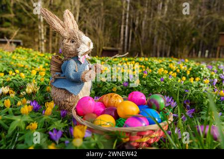 Augusta, Baviera, Germania - 2 marzo 2024: Coniglietto pasquale su un colorato prato fiorito con nido pasquale pieno di uova pasquali colorate *** Osterhase auf einer bunten Blumenwiese mit einem Osternest gefüllt mit bunten Ostereiern Foto Stock