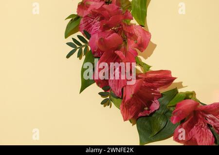 Cornice floreale di fiori freesia freschi e colorati su sfondo beige con spazio per le copie. Biglietto d'auguri. Vista dall'alto. Foto Stock