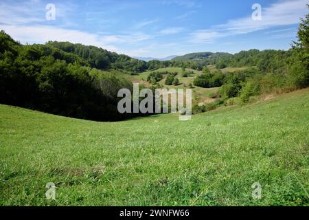 Prati verdi in una valle intorno a Ivanjica in Serbia Foto Stock