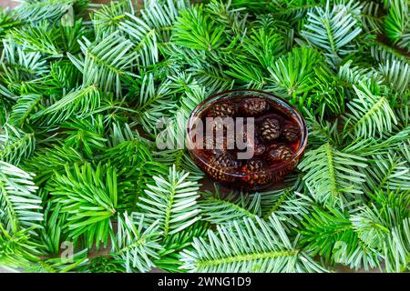 marmellata fatta con piccoli coni di pino in una tazza di vetro sullo sfondo di giovani ramoscelli di abete verde Foto Stock