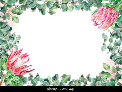 Cornice ad acquerello Protea, orizzontale. Fiori rosa disegnati a mano con rami di eucalipto isolati su sfondo bianco. Elemento di design per carte, matrimoni Foto Stock