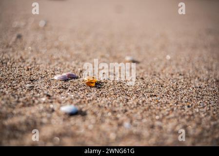 Piccoli pezzi di ambra giacciono sulla spiaggia di sabbia in una giornata di sole Foto Stock