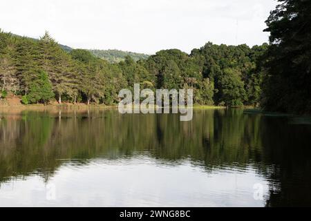 Bella donna bionda seduta accanto a un lago nella foresta della Costa Rica Foto Stock