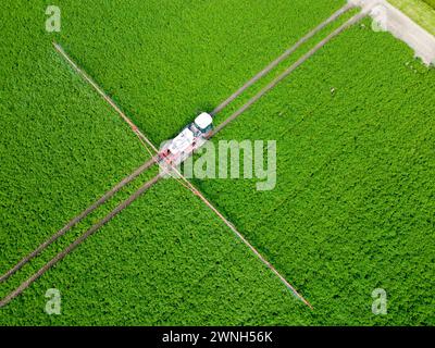 Vista aerea di una macchina che spruzza additivi chimici su prodotti in un campo agricolo Foto Stock