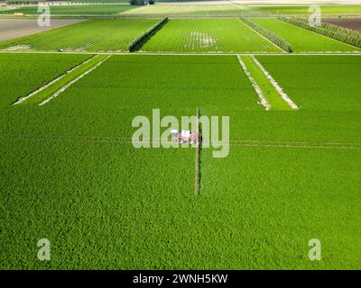 Vista aerea di una macchina che spruzza additivi chimici su prodotti in un campo agricolo Foto Stock