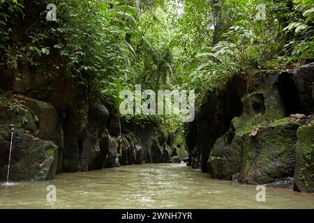 Un fiume di montagna nella giungla sulla popolare isola di Bali Foto Stock