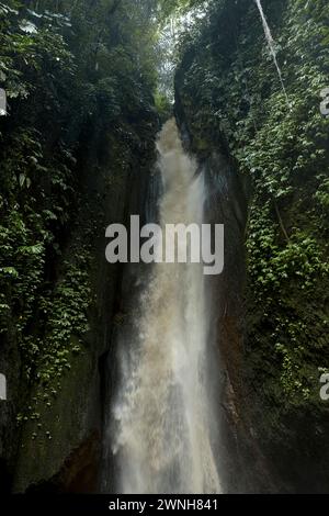 Una cascata incredibilmente bella in una roccia incrinata nella giungla sulla popolare isola di Bali Foto Stock