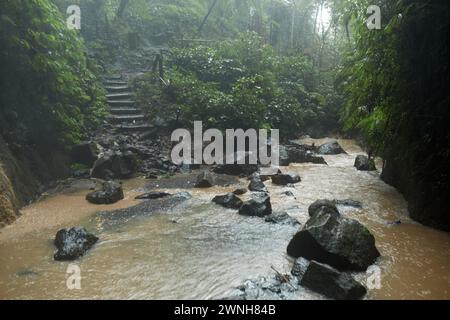 Una goccia nella giungla. Una grande pietra nel fiume di una cascata sulla popolare isola di Bali Foto Stock