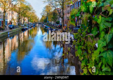 Amsterdam, Nedherlands - 5 novembre 2017: Skyline del centro città con case in mattoni e barche. Famoso punto di riferimento della vecchia città europea in autunno. Foto Stock