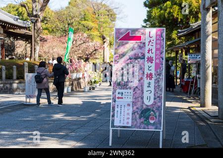 Kyoto, Giappone - febbraio 28 2024 : folle di persone nel Santuario di Jonangu piangono prugna e Camellia Festival. Foto Stock