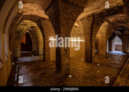 Seminterrato del palazzo Palau Güell progettato da Antoni Gaudí. Era stato usato come stalla e cavalleria (Barcellona, Catalogna, Spagna) Foto Stock