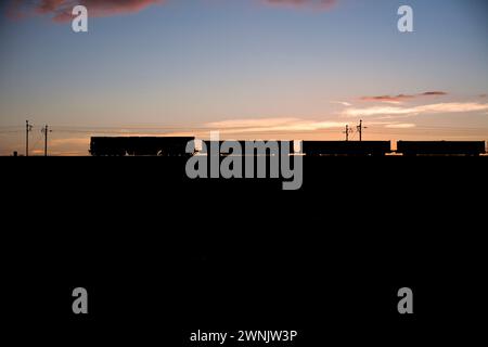 DB CARGO Rail UK locomotiva diesel classe 66 66201 passando per Forton, lancashire, sulla linea principale della costa occidentale con un treno merci che trasporta calce al tramonto Foto Stock