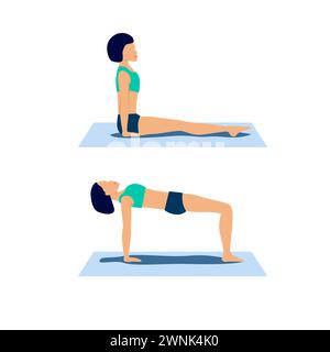 Ardha purvottanasana o rovesciare la posa yoga da tavolo. Posa di granchio per stimolazione dei sistemi respiratori ed endocrini. Programma educativo di allenamento femminile per fisioterapista, brochure, app, web. Vettore Illustrazione Vettoriale