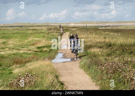 Persone in bicicletta attraverso le saline dell'isola di Amrum, Frisia settentrionale, Schleswig-Holstein, Germania Foto Stock