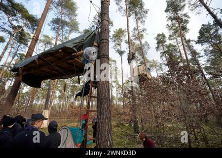 DAS Protestcamp von Umweltaktivisten in Grünheide richtet sich gegen die Erweiterungspläne des Tesla-Werks. Die Aktivisten werfen Tesla vor, Umweltverstöße zu begehen, Trinkwasser zu gefährden und Abwasser-Grenzwerten zu überschreiten. Seit Donnerstag halten die Aktivisten einen Teil des Landeswaldes besetzt, den Tesla im Falle einer Erweiterung Seines Geländes roden Will. SIE haben um die zehn Baumhäuser in mehreren Metern Höhe errichtet und kündigten an, möglichst lange ausharren zu wollen. Auch die Bürgerinitiative Grünheide spricht sich gegen die Erweiterungspläne aus und zeigt sich mit de Foto Stock