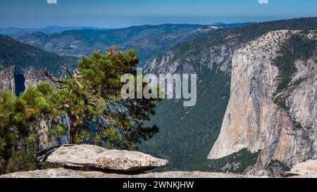 Vista distante di El Capitan dall'altra parte della valle sul Sentinel Dome, Yosemite National Park, California, USA. Foto Stock
