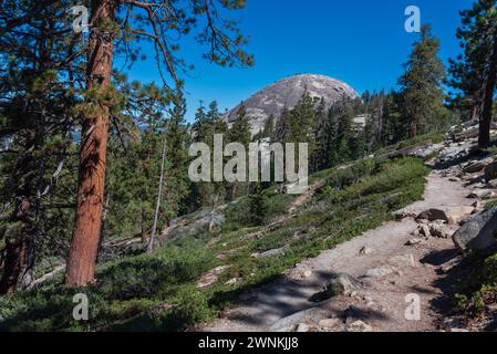 Vista del Sentinel Dome dal sentiero, Parco Nazionale di Yosemite, California, Stati Uniti. Foto Stock