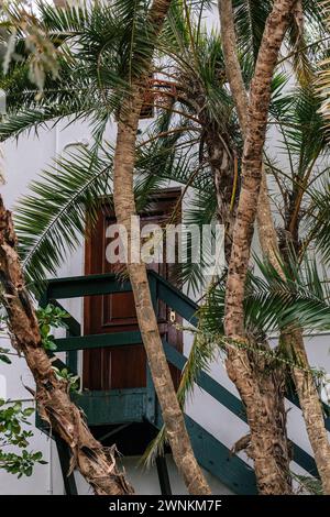 Porta di legno marrone e scale verdi all'esterno. Vista attraverso le palme. Ulteriore ingresso posteriore alla villa, camera d'hotel attraverso il giardino. Colore bianco Foto Stock