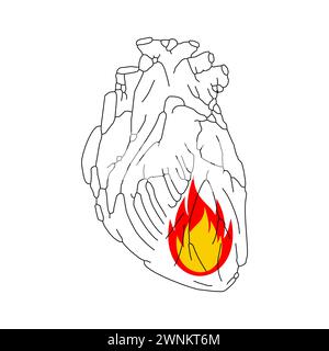 Fuoco nel cuore. Fiamma in un cuore anatomico. Concetto di cuore ardente simbolo di speranza Illustrazione Vettoriale