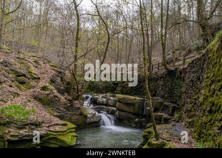 Riserva naturale Healey Dell in inverno Foto Stock