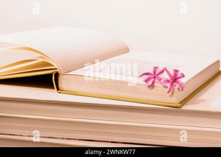 Piccoli fiori rosa di Giacinto comune su libro aperto , occupazione creativa e romantica Foto Stock