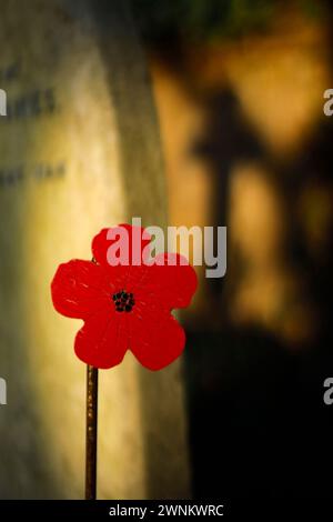 Un cartello rosso che indica la posizione di una tomba legata alla guerra nel cimitero di St Mary the Virgin Church a Wanstead, Londra, Regno Unito, Foto Stock