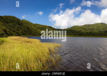 Grand Etang, Grenada, Isola dei Caraibi Foto Stock